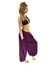 Aladdin Harem Pants Purple